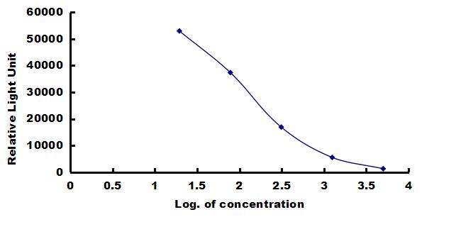 Canine NT-proBNP ELISA Kit (Chemiluminescence) ELISA: Canine NT-proBNP ELISA Kit (Chemiluminescence) [NBP3-42392]