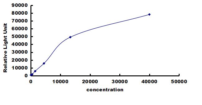 Rabbit CCL2/JE/MCP-1 ELISA Kit (Chemiluminescence) ELISA: Rabbit CCL2/JE/MCP-1 ELISA Kit (Chemiluminescence) [NBP3-42405]
