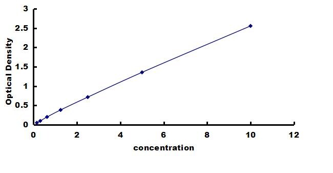 Rat Collagen VI alpha 1 ELISA Kit (Colorimetric) ELISA: Rat Collagen VI alpha 1 ELISA Kit (Colorimetric) [NBP3-42426]
