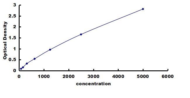 Human Wnt16 ELISA Kit (Colorimetric) ELISA: Human Wnt16 ELISA Kit (Colorimetric) [NBP3-42444]