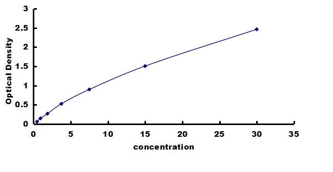 Rat PKM2 ELISA Kit (Colorimetric) ELISA: Rat PKM2 ELISA Kit (Colorimetric) [NBP3-42445]