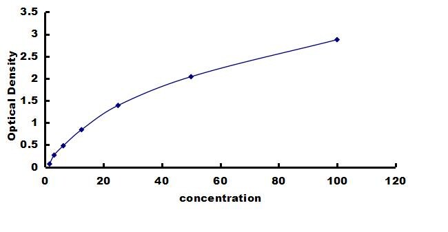 Porcine eNOS ELISA Kit (Colorimetric) ELISA: Porcine eNOS ELISA Kit (Colorimetric) [NBP3-42449]