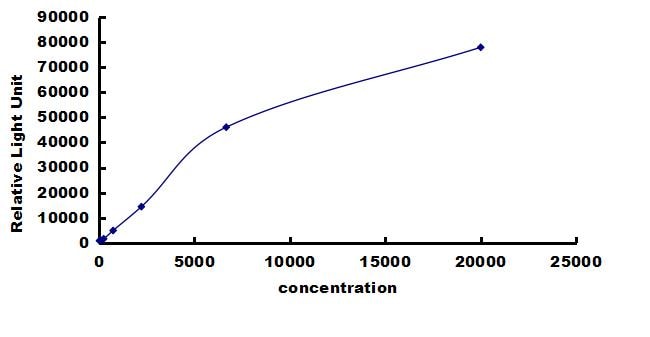 Bovine Fibronectin ELISA Kit (Chemiluminescence) ELISA: Bovine Fibronectin ELISA Kit (Chemiluminescence) [NBP3-42498]