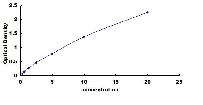 Rat FoxO1/FKHR ELISA Kit (Colorimetric) ELISA: Rat FoxO1/FKHR ELISA Kit (Colorimetric) [NBP3-42504]