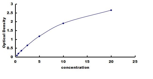 Equine MMP-7 ELISA Kit (Colorimetric) ELISA: Equine MMP-7 ELISA Kit (Colorimetric) [NBP3-42529]