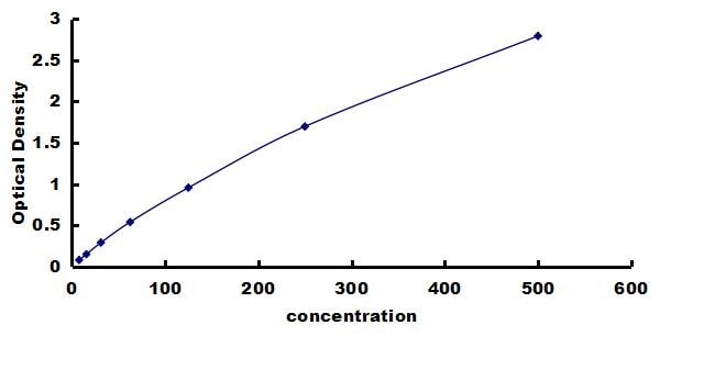 Equine TIMP-2 ELISA Kit (Colorimetric) ELISA: Equine TIMP-2 ELISA Kit (Colorimetric) [NBP3-42534]