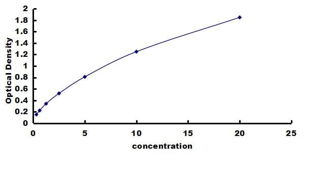 Equine MMP-13 ELISA Kit (Colorimetric) ELISA: Equine MMP-13 ELISA Kit (Colorimetric) [NBP3-42569]