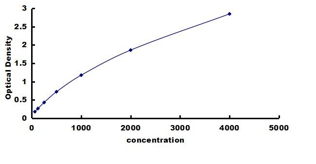 Porcine MMP-13 ELISA Kit (Colorimetric) ELISA: Porcine MMP-13 ELISA Kit (Colorimetric) [NBP3-42570]