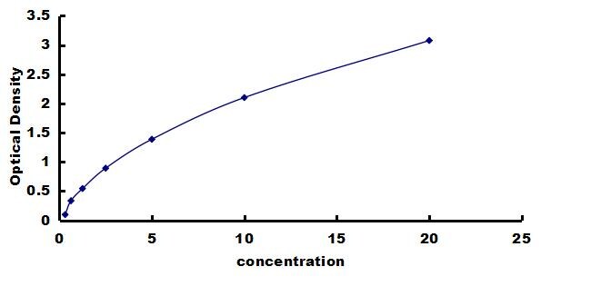 Porcine Apolipoprotein E/ApoE ELISA Kit (Colorimetric) ELISA: Porcine Apolipoprotein E/ApoE ELISA Kit (Colorimetric) [NBP3-42593]