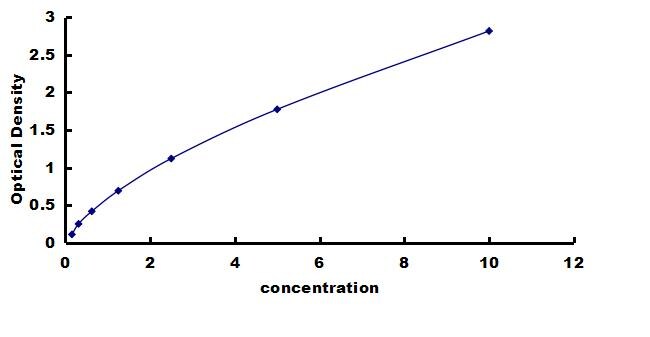 Rat VEGFR1/Flt-1 ELISA Kit (Colorimetric) ELISA: Rat VEGFR1/Flt-1 ELISA Kit (Colorimetric) [NBP3-42596]