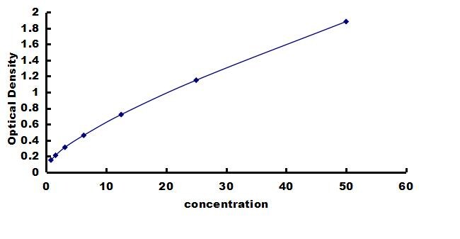 Rat Parvalbumin ELISA Kit (Colorimetric) ELISA: Rat Parvalbumin ELISA Kit (Colorimetric) [NBP3-42616]