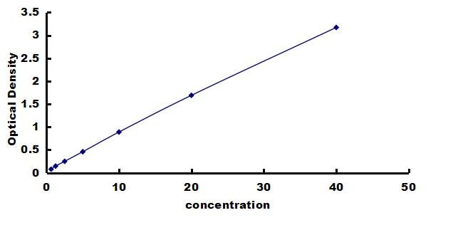 Equine TIMP-1 ELISA Kit (Colorimetric) ELISA: Equine TIMP-1 ELISA Kit (Colorimetric) [NBP3-42625]