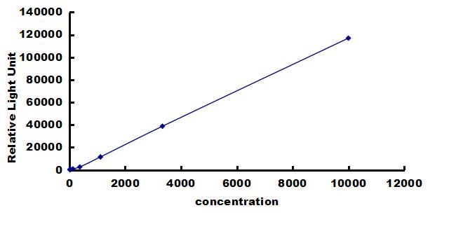 Porcine Leptin/OB ELISA Kit (Chemiluminescence) ELISA: Porcine Leptin/OB ELISA Kit (Chemiluminescence) [NBP3-42631]