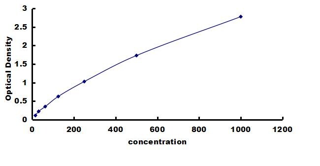 Bovine IL12B ELISA Kit (Colorimetric) ELISA: Bovine IL12B ELISA Kit (Colorimetric) [NBP3-42633]