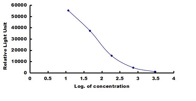 Mouse CALCB ELISA Kit (Chemiluminescence) ELISA: Mouse CALCB ELISA Kit (Chemiluminescence) [NBP3-42639]