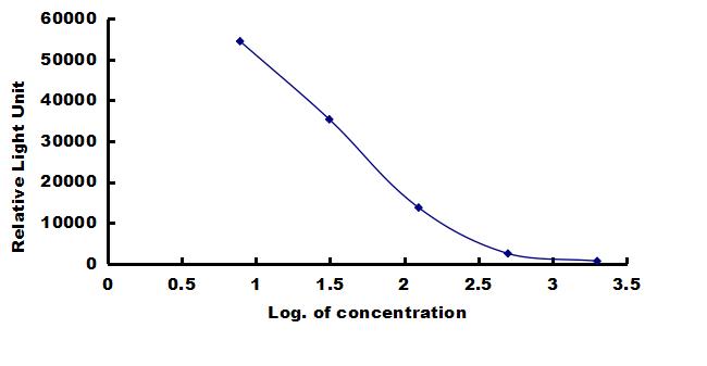 Rat CALCB ELISA Kit (Chemiluminescence) ELISA: Rat CALCB ELISA Kit (Chemiluminescence) [NBP3-42640]