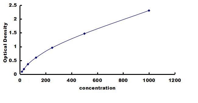 Equine IL12B ELISA Kit (Colorimetric) ELISA: Equine IL12B ELISA Kit (Colorimetric) [NBP3-42643]