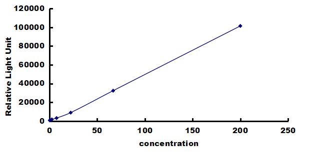 Porcine CTGF/CCN2 ELISA Kit (Chemiluminescence) ELISA: Porcine CTGF/CCN2 ELISA Kit (Chemiluminescence) [NBP3-42651]