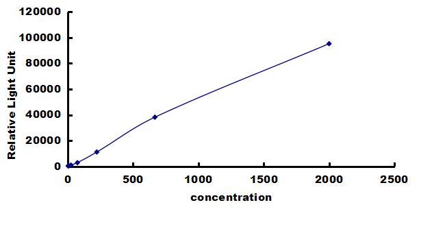 Chicken BMP-2 ELISA Kit (Chemiluminescence) ELISA: Chicken BMP-2 ELISA Kit (Chemiluminescence) [NBP3-42655]