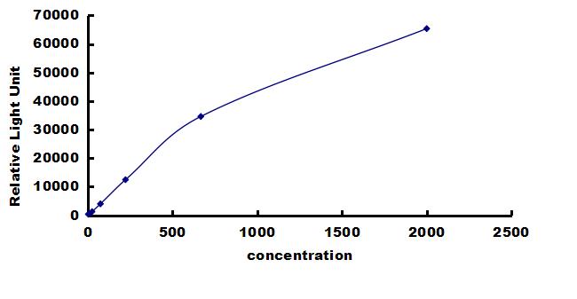 Porcine FGF-21 ELISA Kit (Chemiluminescence) ELISA: Porcine FGF-21 ELISA Kit (Chemiluminescence) [NBP3-42656]