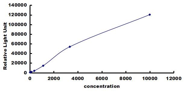 Equine MMP-1 ELISA Kit (Chemiluminescence) ELISA: Equine MMP-1 ELISA Kit (Chemiluminescence) [NBP3-42658]