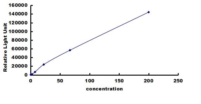 Equine MMP-13 ELISA Kit (Chemiluminescence) ELISA: Equine MMP-13 ELISA Kit (Chemiluminescence) [NBP3-42660]