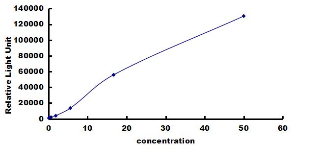 Porcine MMP-13 ELISA Kit (Chemiluminescence) ELISA: Porcine MMP-13 ELISA Kit (Chemiluminescence) [NBP3-42661]