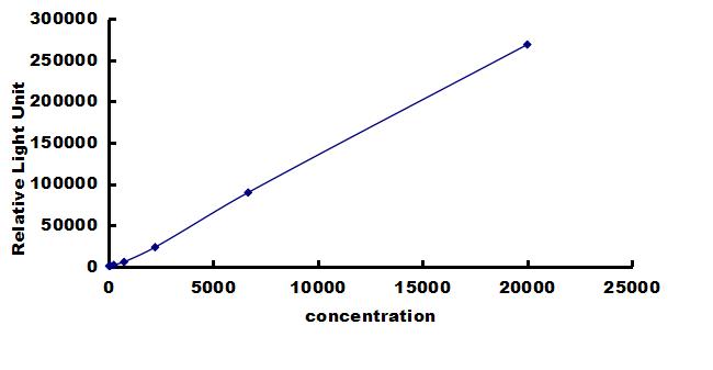 Canine MMP-3 ELISA Kit (Chemiluminescence) ELISA: Canine MMP-3 ELISA Kit (Chemiluminescence) [NBP3-42662]