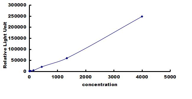 Equine MMP-3 ELISA Kit (Chemiluminescence) ELISA: Equine MMP-3 ELISA Kit (Chemiluminescence) [NBP3-42663]