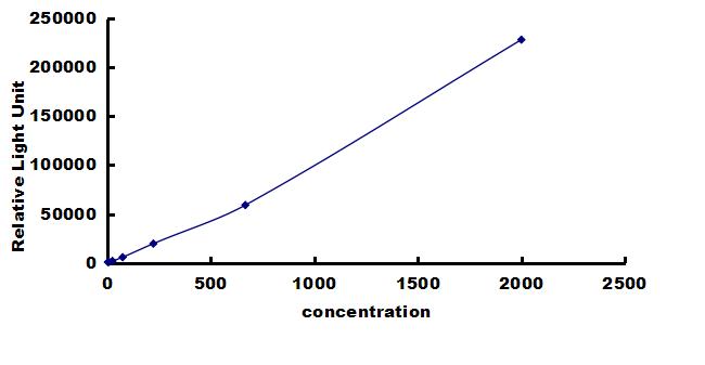 Porcine MMP-3 ELISA Kit (Chemiluminescence) ELISA: Porcine MMP-3 ELISA Kit (Chemiluminescence) [NBP3-42664]