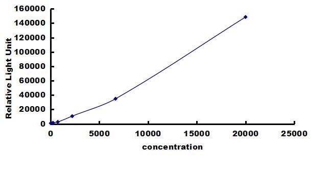 Equine MMP-7 ELISA Kit (Chemiluminescence) ELISA: Equine MMP-7 ELISA Kit (Chemiluminescence) [NBP3-42665]