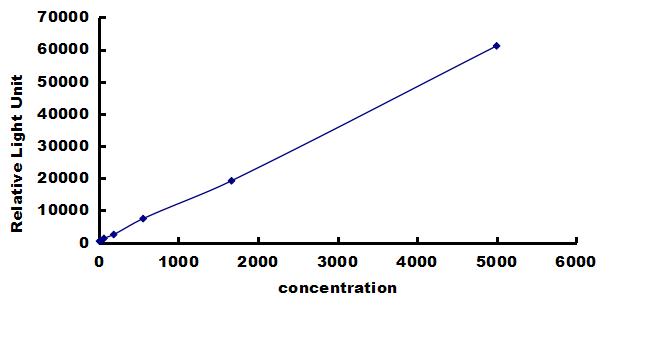 Porcine CNTF ELISA Kit (Chemiluminescence) ELISA: Porcine CNTF ELISA Kit (Chemiluminescence) [NBP3-42666]