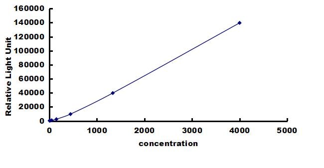 Equine CCL11/Eotaxin ELISA Kit (Chemiluminescence) ELISA: Equine CCL11/Eotaxin ELISA Kit (Chemiluminescence) [NBP3-42667]