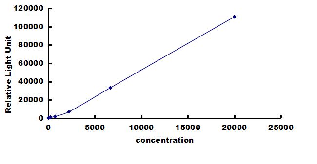 Canine CCK-AR ELISA Kit (Chemiluminescence) ELISA: Canine CCK-AR ELISA Kit (Chemiluminescence) [NBP3-42668]