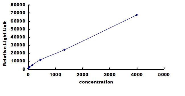 Porcine FGF acidic/FGF1 ELISA Kit (Chemiluminescence) ELISA: Porcine FGF acidic/FGF1 ELISA Kit (Chemiluminescence) [NBP3-42669]