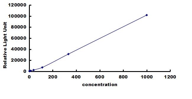 Canine HGF ELISA Kit (Chemiluminescence) ELISA: Canine HGF ELISA Kit (Chemiluminescence) [NBP3-42676]