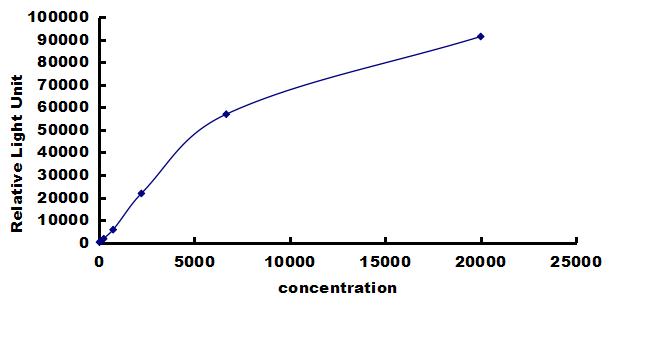 Equine TIMP-3 ELISA Kit (Chemiluminescence) ELISA: Equine TIMP-3 ELISA Kit (Chemiluminescence) [NBP3-42677]