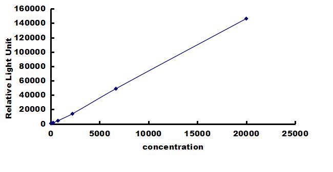 Porcine TIMP-3 ELISA Kit (Chemiluminescence) ELISA: Porcine TIMP-3 ELISA Kit (Chemiluminescence) [NBP3-42678]