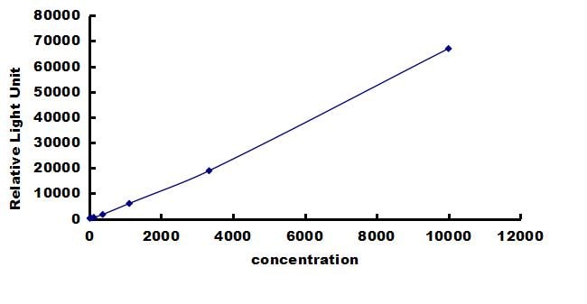 Porcine TIMP-4 ELISA Kit (Chemiluminescence) ELISA: Porcine TIMP-4 ELISA Kit (Chemiluminescence) [NBP3-42681]