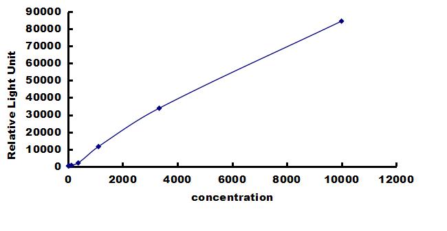 Bovine BMP-4 ELISA Kit (Chemiluminescence) ELISA: Bovine BMP-4 ELISA Kit (Chemiluminescence) [NBP3-42684]