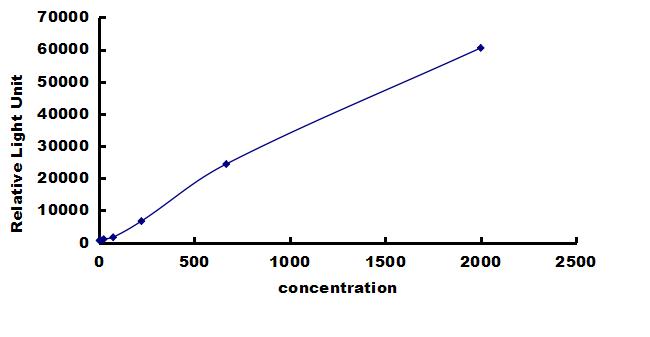 Canine BMP-4 ELISA Kit (Chemiluminescence) ELISA: Canine BMP-4 ELISA Kit (Chemiluminescence) [NBP3-42685]