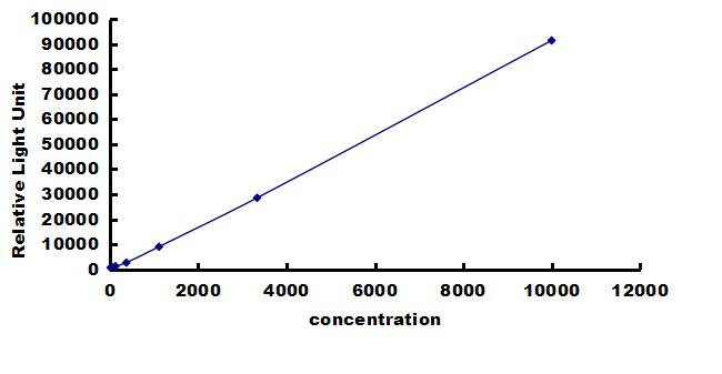 Porcine BMP-4 ELISA Kit (Chemiluminescence) ELISA: Porcine BMP-4 ELISA Kit (Chemiluminescence) [NBP3-42689]
