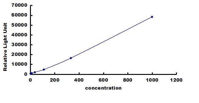 Rabbit BMP-4 ELISA Kit (Chemiluminescence) ELISA: Rabbit BMP-4 ELISA Kit (Chemiluminescence) [NBP3-42690]