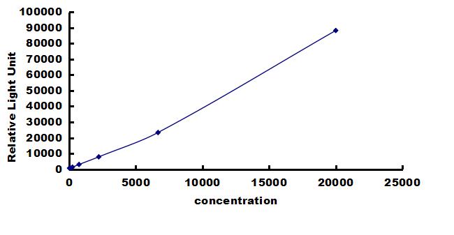 Rat NFkB1/NFkB p105 ELISA Kit (Chemiluminescence) ELISA: Rat NFkB1/NFkB p105 ELISA Kit (Chemiluminescence) [NBP3-42721]