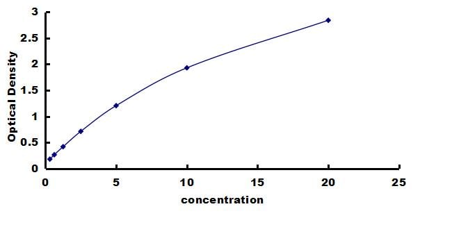 Mouse CaM Kinase II alpha ELISA Kit (Colorimetric) ELISA: Mouse CaM Kinase II alpha ELISA Kit (Colorimetric) [NBP3-42728]