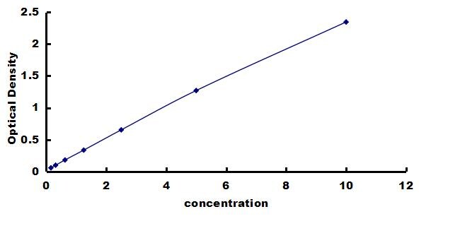 Human PERK ELISA Kit (Colorimetric) ELISA: Human PERK ELISA Kit (Colorimetric) [NBP3-42748]