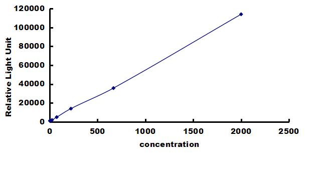 Porcine PDGF-B ELISA Kit (Chemiluminescence) ELISA: Porcine PDGF-B ELISA Kit (Chemiluminescence) [NBP3-42760]