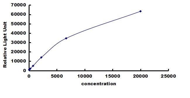 Rat PDGF-D/SCDGFB ELISA Kit (Chemiluminescence) ELISA: Rat PDGF-D/SCDGFB ELISA Kit (Chemiluminescence) [NBP3-42772]