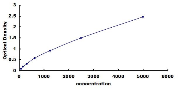 Human PP2A alpha ELISA Kit (Colorimetric) ELISA: Human PP2A alpha ELISA Kit (Colorimetric) [NBP3-42781]