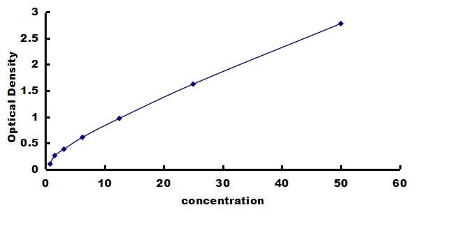 Porcine gp96/HSP90B1/GRP94 ELISA Kit (Colorimetric) ELISA: Porcine gp96/HSP90B1/GRP94 ELISA Kit (Colorimetric) [NBP3-42864]